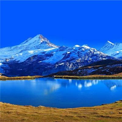 半岛全站app下载