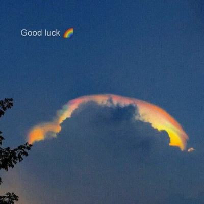 九游会agapp下载