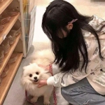 双彩网手机app下载